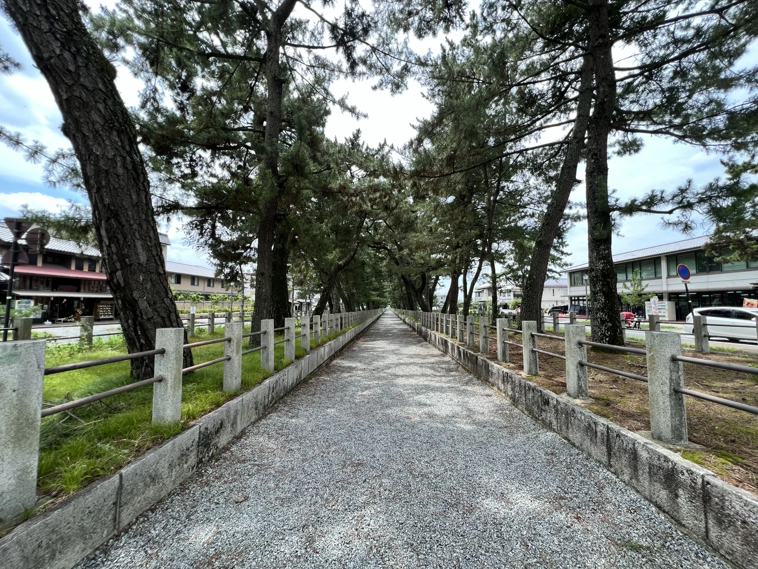 法隆寺へ向かう松並木の参道